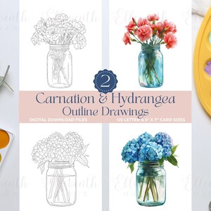 Op de afbeelding: Digitale download met contourtekeningen van anjers en hortensia's. De afbeelding bevat zowel lijntekeningen als kleurenillustraties van bloemen in weckpotten. De tekst luidt "Carnation & Hydrangea Outline Drawings" en "US Letter & 5" x 7" Card Sizes."
