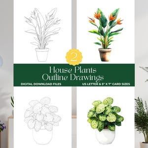 Può includere: Download digitale di disegni di piante da interno. L'immagine mostra quattro illustrazioni di piante: due disegni a contorno e due dipinti ad acquerello colorati. Il testo recita "House Plants Outline Drawings" e "US Letter & 5" x 7" Card Sizes."