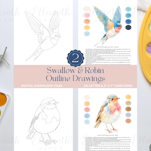Caderno de Atividades de Aquarela com Desenho de Andorinhas e Robin - Kit de Arte Faça Você Mesmo - Páginas para Colorir para Adultos e Crianças - Folhas de Modelos