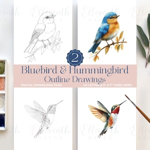 Puede incluir: Descarga digital de dos dibujos de aves: un mirlo azul y un colibrí. Uno es un contorno, el otro una acuarela. El texto dice "Bluebird & Hummingbird Outline Drawings". Incluye una paleta de acuarela. Tamaño de tarjeta 12,7 cm x 17,8 cm.