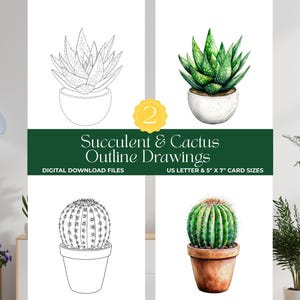 Può includere: Download digitale con quattro disegni di contorno di piante grasse e cactus. Include una succulenta ad acquerello, un cactus ad acquerello e due disegni di contorno. Il testo recita "Succulent & Cactus Outline Drawings". I disegni sono dimensionati per US Letter e formati di schede 5" x 7".