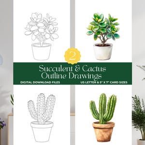 May include: A digital download featuring four succulent and cactus outline drawings. The image includes both line art and colour illustrations of potted plants. Text reads "Succulent & Cactus Outline Drawings" and "US Letter & 5" x 7" Card Sizes."