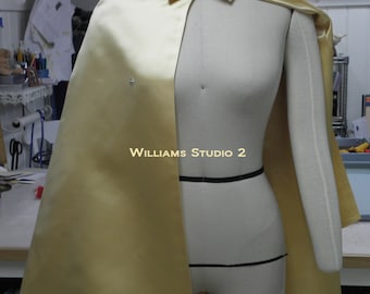 Wonder Boy Sidekick Costume Cape