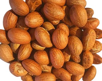 Natural African Bitter Kola Nuts – Fresh Garcinia Kola, 200g