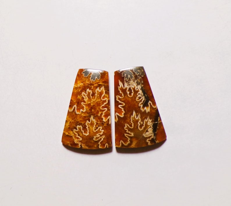 121.60 Cts Natural Ammonite Cabochon Match Pair Gemstone 45X29MM 62 - Etsy