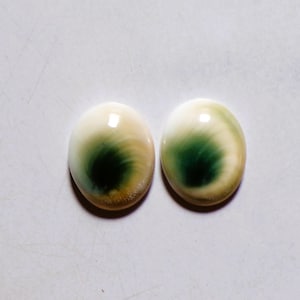26,40 ct naturlig Shiva öga snäckskal cabochon matchande par ädelsten 19 x 15 MM 97