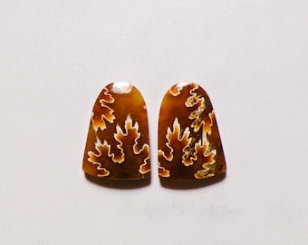 May include: Two polished, shield-shaped ammonite fossil cabochons featuring a deep amber-brown base color with intricate, cream-colored, fern-like suture patterns throughout the surface of each stone, displaying a smooth and glossy finish.
