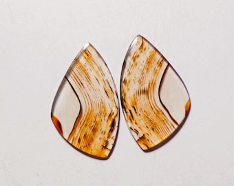 May include: Two teardrop-shaped cabochons featuring a polished surface with intricate, flowing bands of cream, tan, and dark brown. The stones exhibit a translucent quality with organic, wood-grain-like patterns that curve across the smooth, flat faces.