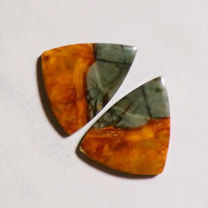 May include: Two triangular polished gemstones featuring a distinct color split. Each stone displays a vibrant, warm orange and yellow section with wood-grain patterns alongside a contrasting cool grey section with dark, thin, linear veining.
