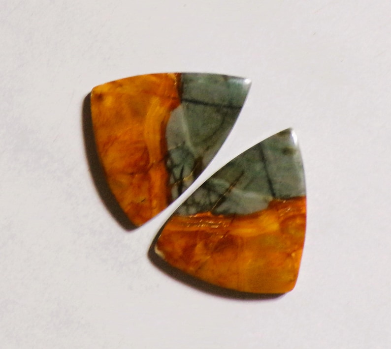 May include: Two triangular polished gemstones featuring a distinct color split. Each stone displays a vibrant, warm orange and yellow section with wood-grain patterns alongside a contrasting cool grey section with dark, thin, linear veining.