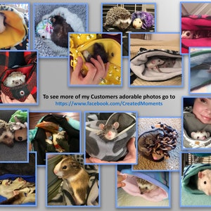 May include: A collage of small animals including hedgehogs, rats, and sugar gliders resting in various soft fabric pouches and fleece bonding bags. The text reads: To see more of my Customers adorable photos go to https://www.facebook.com/CreatedMoments