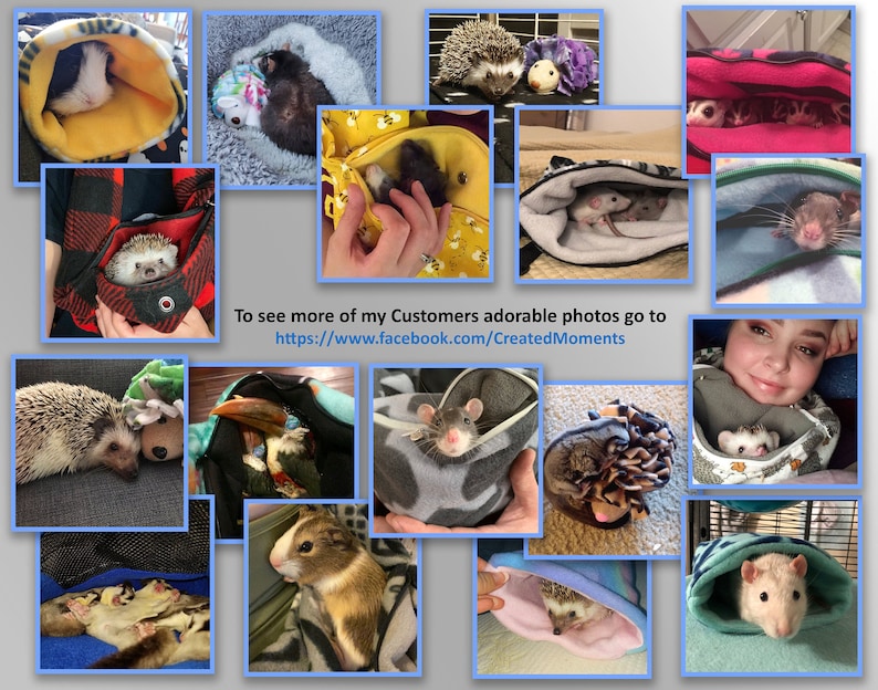 May include: A collage of small animals including hedgehogs, rats, and sugar gliders resting in various soft fabric pouches and fleece bonding bags. The text reads: To see more of my Customers adorable photos go to https://www.facebook.com/CreatedMoments