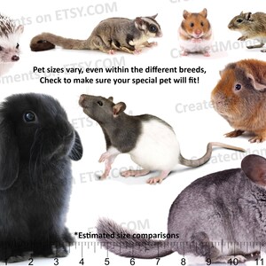 May include: A collection of small animals including a hedgehog, sugar glider, hamster, gerbil, guinea pig, black rabbit, rat, and chinchilla. Text reads: Pet sizes vary, even within the different breeds, Check to make sure your special pet will fit!