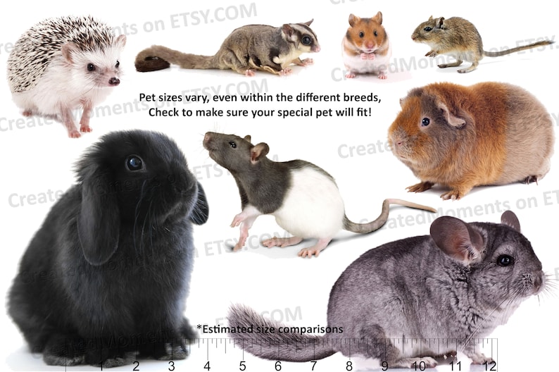 May include: A collection of small animals including a hedgehog, sugar glider, hamster, gerbil, guinea pig, black rabbit, rat, and chinchilla. Text reads: Pet sizes vary, even within the different breeds, Check to make sure your special pet will fit!