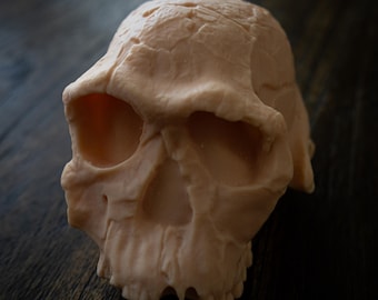 3Dプリントされたホモ・ハビリスの頭蓋骨レプリカ - リアルな化石