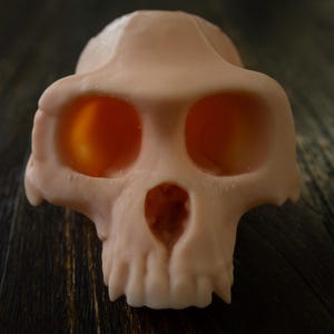 May include: A light peach-coloured skull with large eye sockets and a prominent brow ridge. The skull has a detailed, textured surface and a visible nasal cavity. The background is a dark, wooden surface. The skull is a representation of a primate.