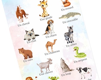 French as a Foreign Language Vocabulary Sheets – A1-A2 – Printable PDF – Classroom Activity – Teacher Resource – French Language Learning