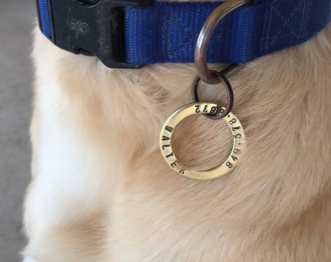Featured listing image: Pet tag, dog tag for dog, gift for pet owner, round, name and phone number, silver, brass, name tag for pet