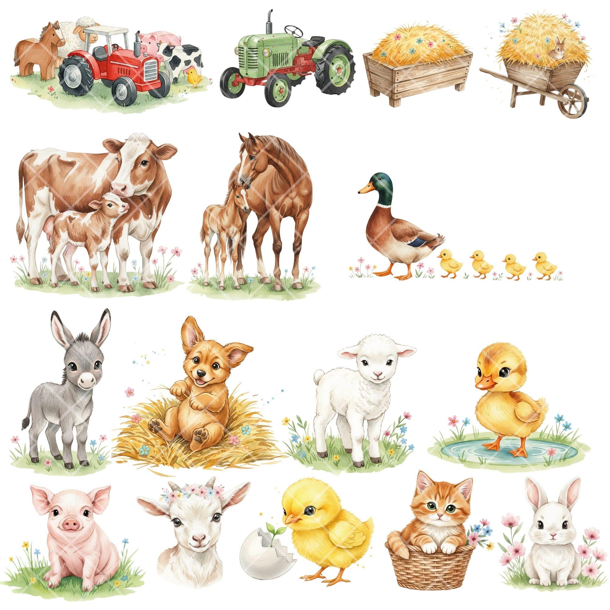 Farm Baby Animals Watercolor Clipart – Tractor PNG Bundle (digital ...