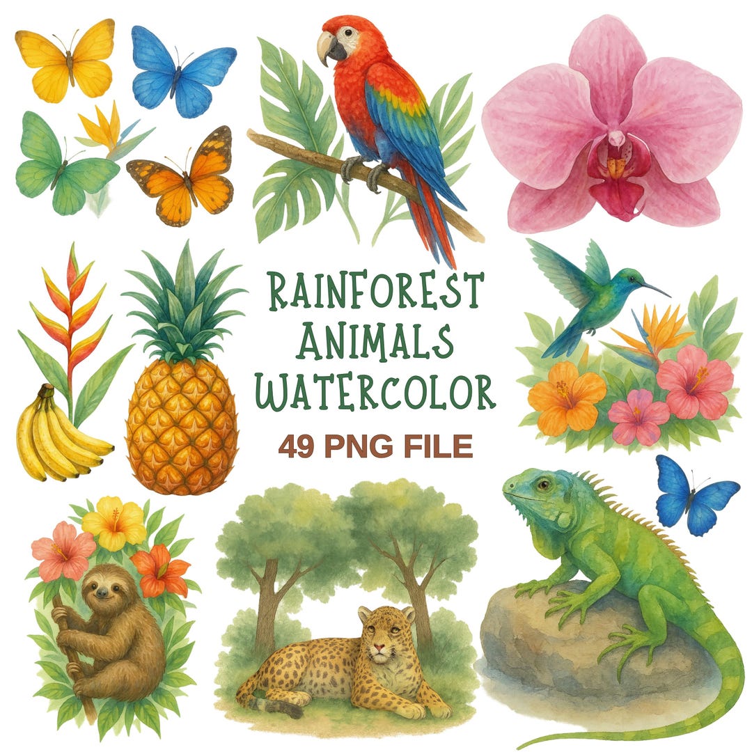 Rainforest Watercolor Clipart – 49 PNG Jungle Animals, Tropical Plants ...