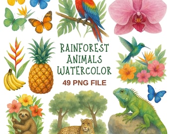 Rainforest Watercolor Clipart – 49 PNG Jungle Animals, Tropical Plants, Butterflies, and Flowers