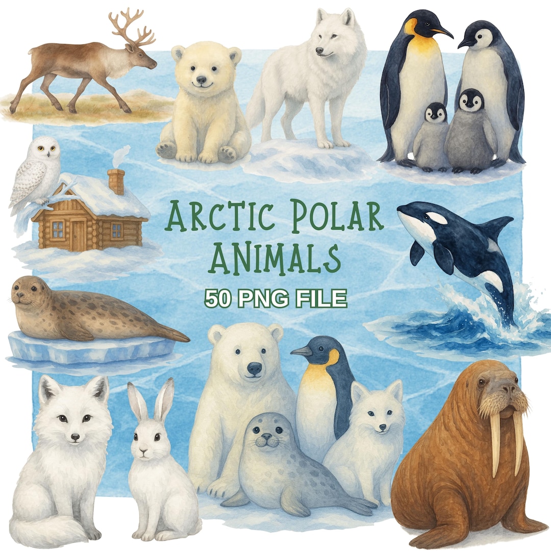 Arctic Polar Animals Clipart | 50 PNG Watercolor Wildlife, Polar Bear ...