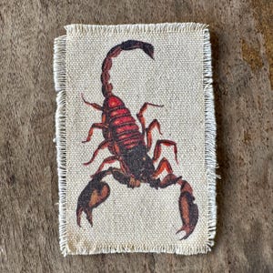 Scorpion Sting canvas sew-on patch