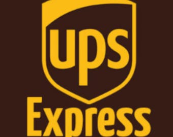 UPS Express-verzending