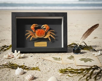 現在、この商品の在庫はありません - Etsy