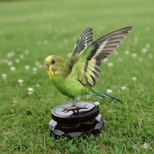 Antique taxidermy parrot - Etsy 日本