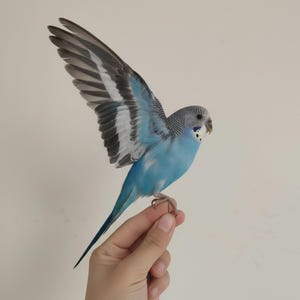 Antique taxidermy parrot - Etsy 日本