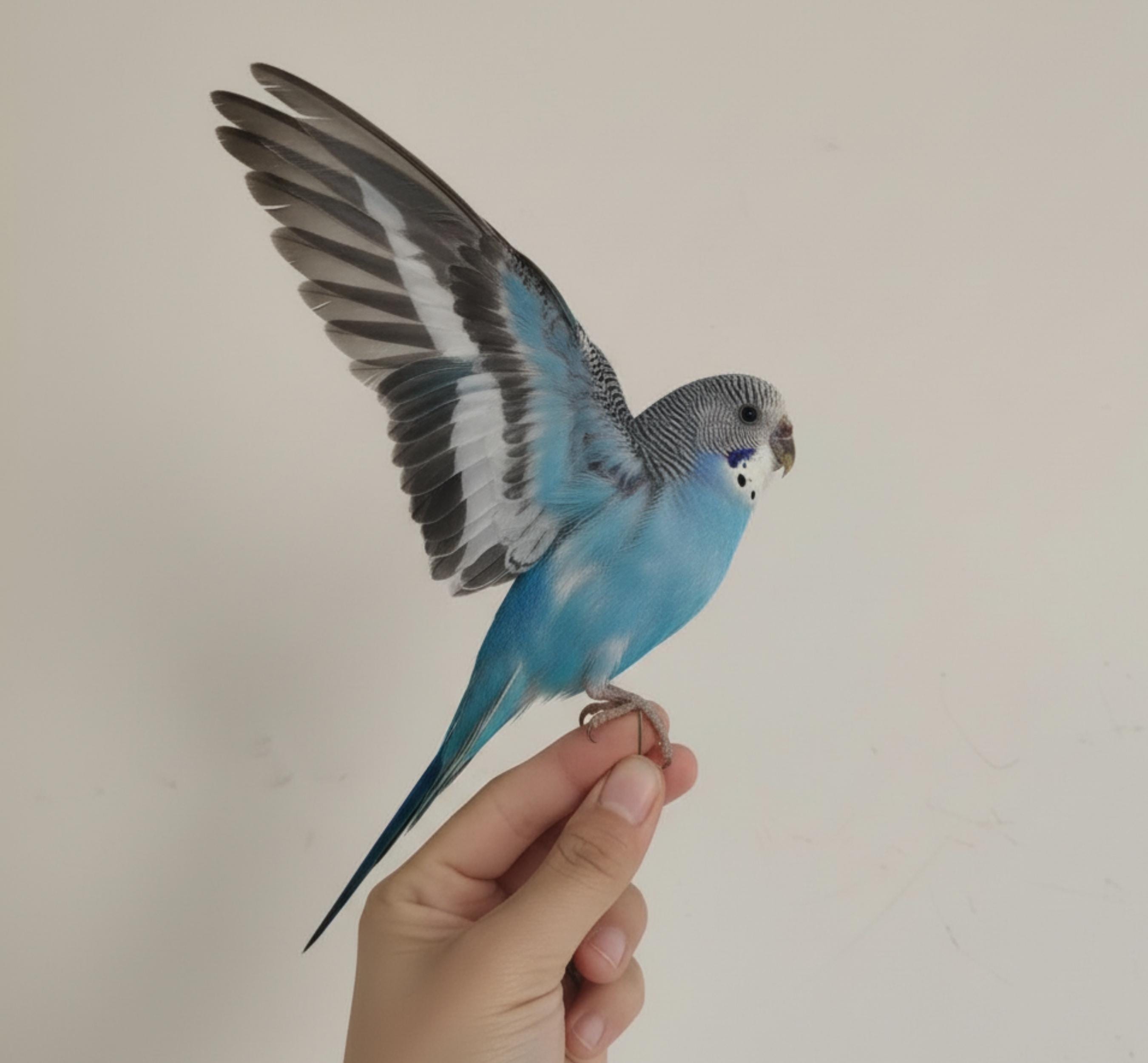 Antique taxidermy parrot - Etsy 日本