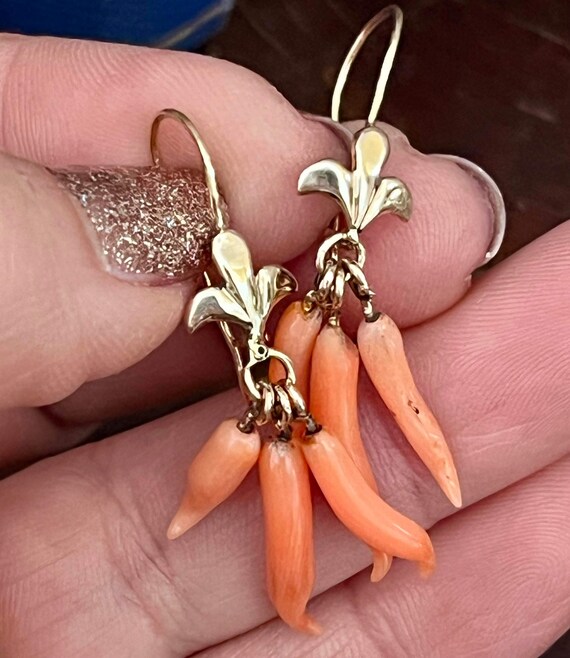 Victorian 14k gold and coral point earrings, fleur de lis, Cornicello, with triple point drops rare View 5