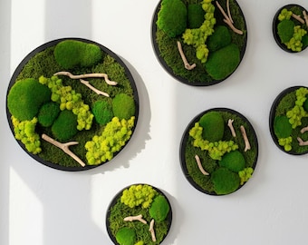 Round Moss Wall Art: Handmade Scandinavian Driftwood Decor