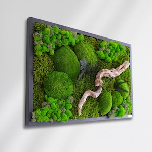 May include: A framed wall art piece featuring a vibrant arrangement of green moss, creating a natural, textured display. The artwork includes rounded moss formations, various green textures, and a piece of driftwood, all set within a dark gray frame.