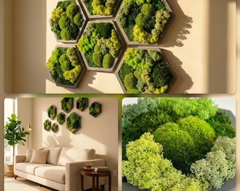 Hexagon Moss Wall Art – Handmade Living Decor – Natural Preserved Moss Panels – Modern Botanical Wall Decor