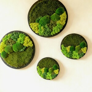 May include: Four circular wall art pieces with a moss design. The moss is various shades of green, arranged to resemble a landscape. The art pieces are set in black circular frames, creating a natural, earthy aesthetic.