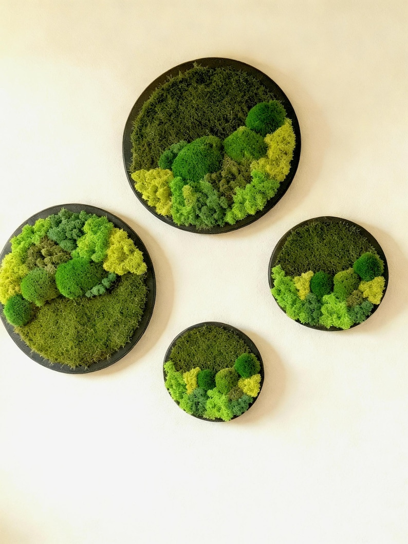 May include: Four circular wall art pieces with a moss design. The moss is various shades of green, arranged to resemble a landscape. The art pieces are set in black circular frames, creating a natural, earthy aesthetic.