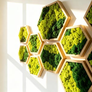 Hexagon Moss Wall Art: Handmade Scandinavian Pine Frame