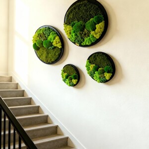 May include: Four circular wall art pieces with black frames, each filled with vibrant green and yellow-green preserved moss. The moss arrangements create a textured, natural look, adding a touch of nature to the interior decor. The pieces are mounted on a white wall.