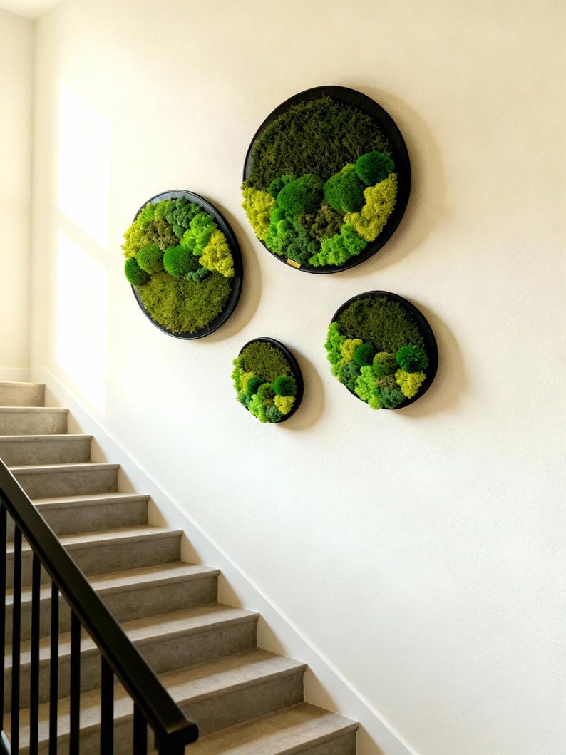May include: Four circular wall art pieces with black frames, each filled with vibrant green and yellow-green preserved moss. The moss arrangements create a textured, natural look, adding a touch of nature to the interior decor. The pieces are mounted on a white wall.