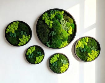 Round Moss Wall Art – Handmade Living Decor – Natural Preserved Moss Panels – Modern Botanical
