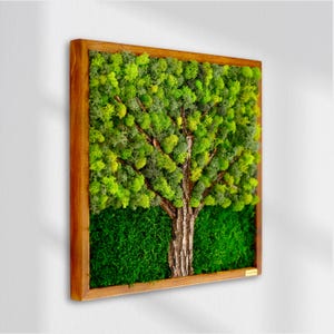May include: Square wooden framed wall art featuring a tree design. The artwork showcases a tree trunk and branches with vibrant green moss, set against a backdrop of lush green moss. The frame is made of natural wood.