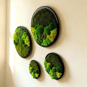 May include: Four circular wall art pieces with a black frame, each filled with varying shades of green moss. The moss creates a textured, natural landscape effect, adding a touch of nature to the interior decor.