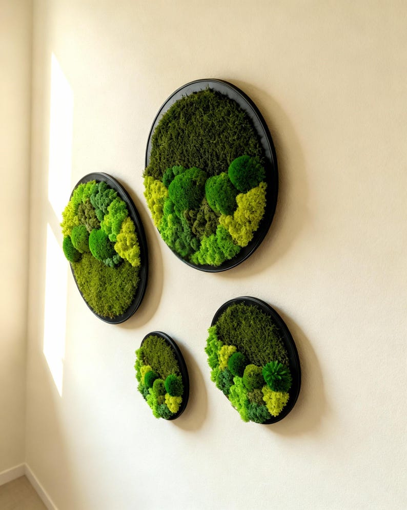 May include: Four circular wall art pieces with a black frame, each filled with varying shades of green moss. The moss creates a textured, natural landscape effect, adding a touch of nature to the interior decor.