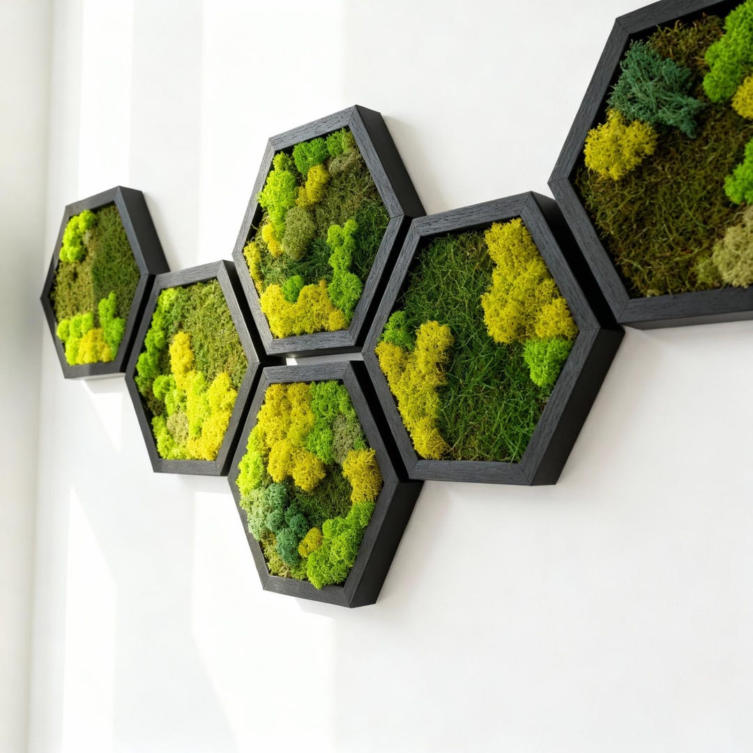 Picture Idea: Hexagon Preserved Moss Wall Art Scandinavian Home Decor