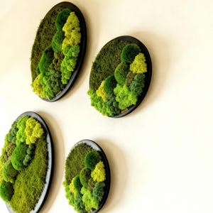May include: Four oval-shaped wall art pieces with a black frame. Each piece features a textured, vibrant green moss design, creating a natural, layered effect. The moss varies in shades of green, adding depth and dimension to the artwork. These pieces are mounted on a white wall.