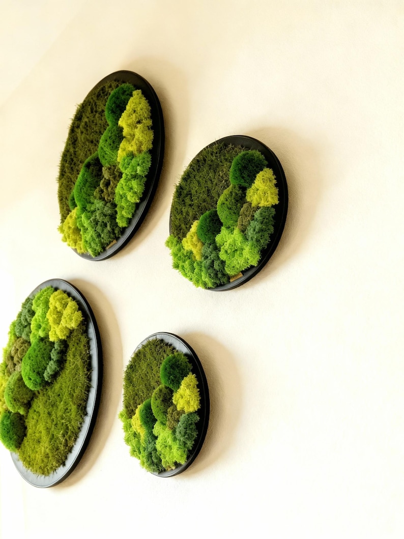 May include: Four oval-shaped wall art pieces with a black frame. Each piece features a textured, vibrant green moss design, creating a natural, layered effect. The moss varies in shades of green, adding depth and dimension to the artwork. These pieces are mounted on a white wall.