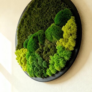 May include: A round wall art piece featuring a variety of green mosses in different textures and shades. The moss is arranged within a black circular frame, creating a natural, textured design. The artwork is mounted on a white wall.