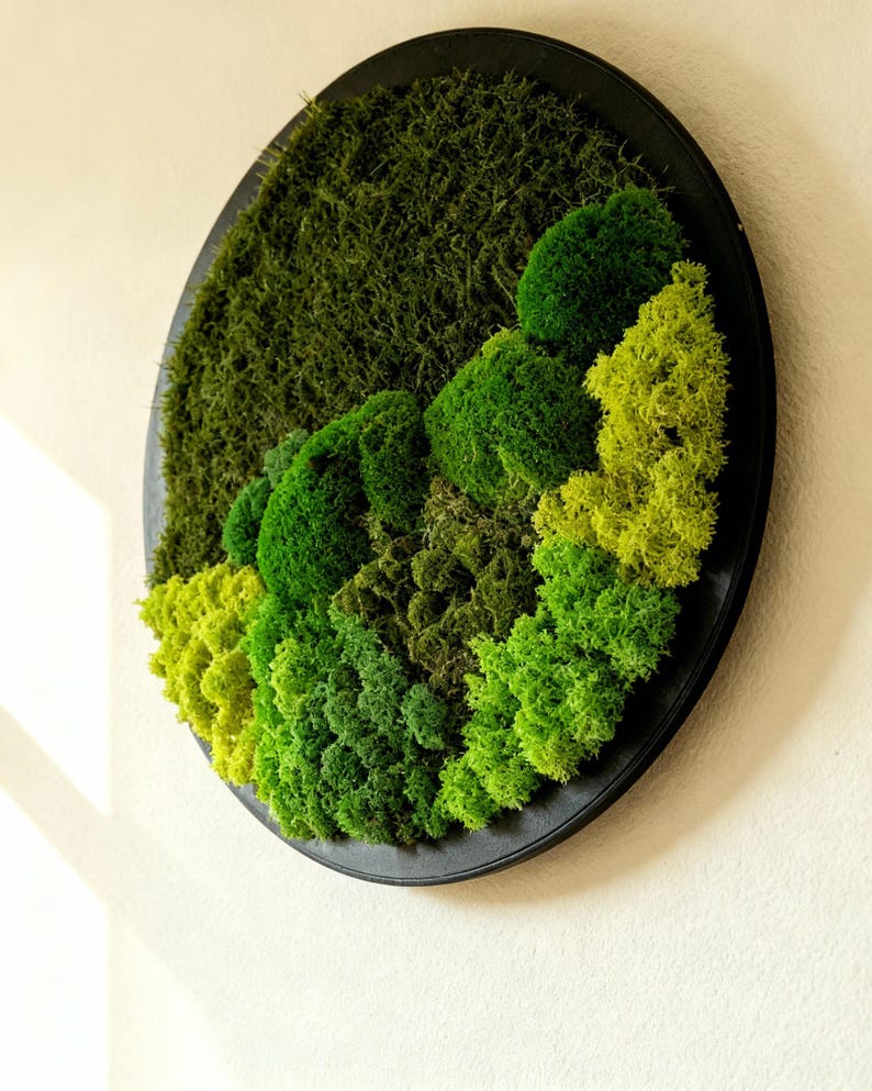 May include: A round wall art piece featuring a variety of green mosses in different textures and shades. The moss is arranged within a black circular frame, creating a natural, textured design. The artwork is mounted on a white wall.